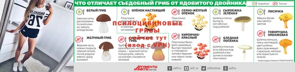 крисы Бутурлиновка