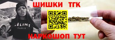 стаф Дубна