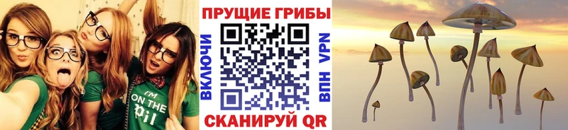 Галлюциногенные грибы Psilocybe  darknet наркотические препараты  Луга  OMG маркетплейс 