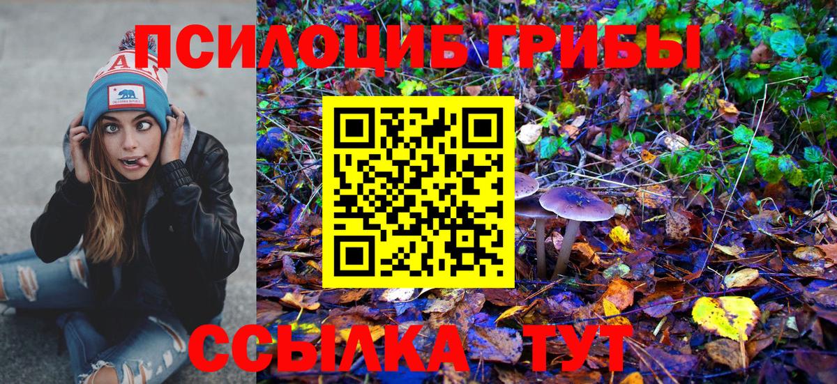 НБОМе Луга