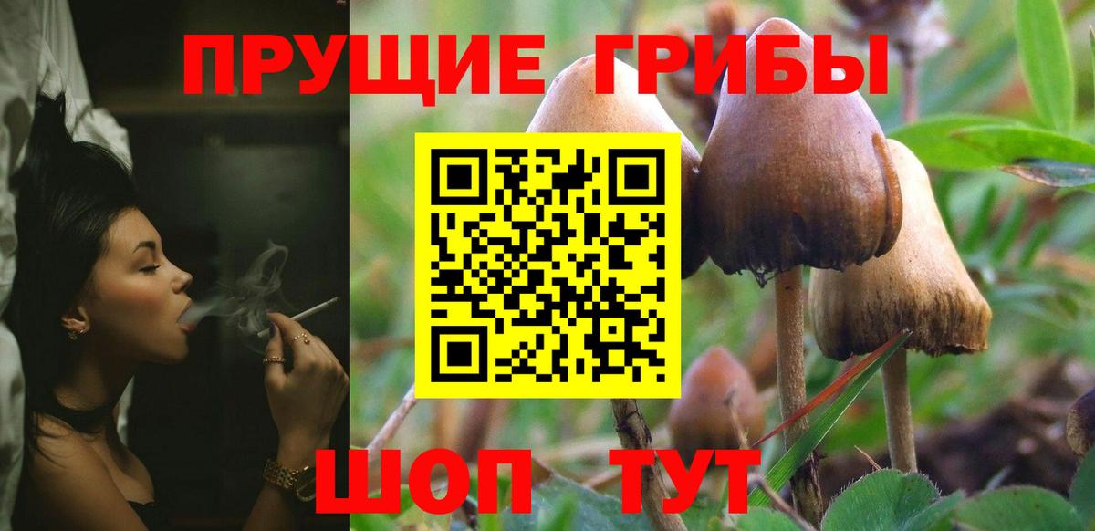 Галлюциногенные грибы MAGIC MUSHROOMS Луга