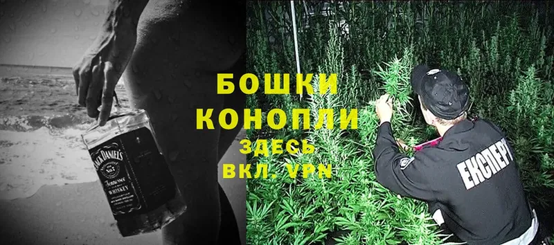 купить наркотик  Луга  Марихуана Ganja 